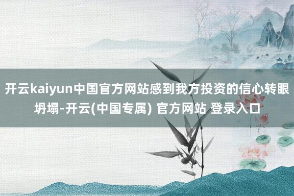开云kaiyun中国官方网站感到我方投资的信心转眼坍塌-开云(中国专属) 官方网站 登录入口