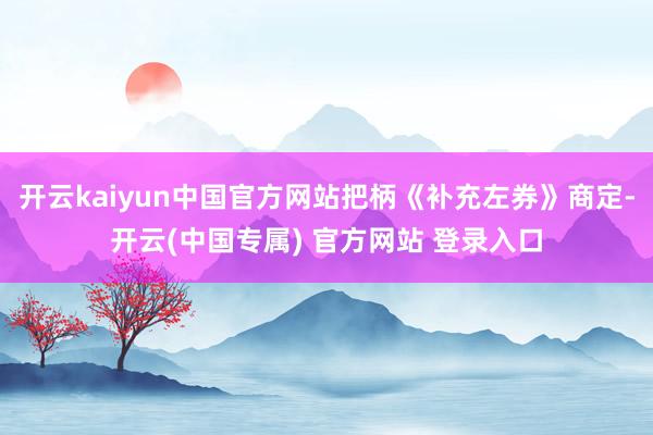 开云kaiyun中国官方网站把柄《补充左券》商定-开云(中国专属) 官方网站 登录入口