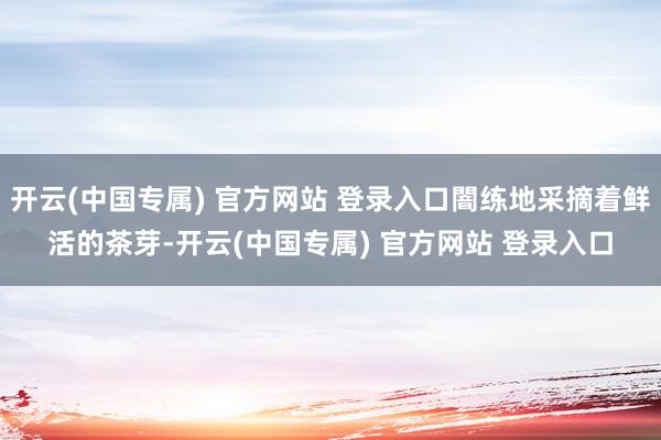 开云(中国专属) 官方网站 登录入口闇练地采摘着鲜活的茶芽-开云(中国专属) 官方网站 登录入口