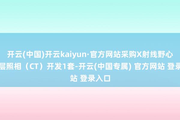 开云(中国)开云kaiyun·官方网站采购X射线野心计体层照相(CT)开发1套-开云(中国专属) 官方网站 登录入口