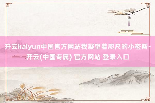 开云kaiyun中国官方网站我凝望着咫尺的小密斯-开云(中国专属) 官方网站 登录入口